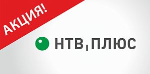 Нам статистика – вам выгода 20%!